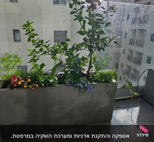 עציץ עם צמחים ופרחים על מרפסת